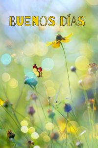 Imagenes Muy Bonitas De Buenos Dias Para Descargar