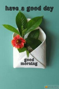 Imagenes Muy Buenos Dias Hoy Para Celular