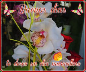 Imagenes Muy Buenos Dias Hoy Para Una Amiga