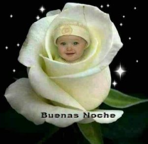 Imagenes Nuevas Buenas Noches
