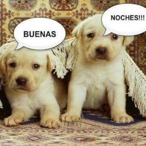 Imágenes nuevas de buenas noches para celular