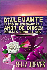 Imagenes Nuevas De Buenos Dias Amor Para Celular