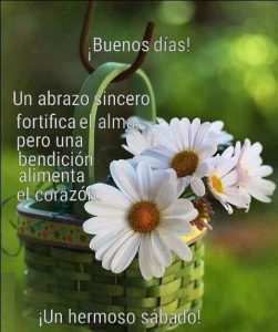 Imagenes Nuevas De Buenos Dias Mi Amor Para Celular