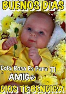 Imagenes Nuevas De Buenos Dias Para Mi Amor