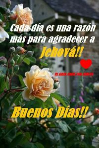 Imagenes Nuevas De Buenos Dias Para Whatsapp