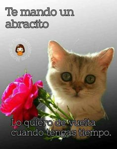 Imagenes Para Buenas Noches