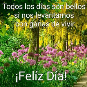 Imagenes Para Dar Buenos Dias Amor