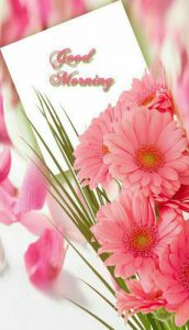 Imagenes Para Dar Buenos Dias Amor Para Facebook