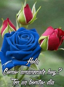 Imagenes Para Dar Los Buenos Dias A Un Amigo Para Facebook