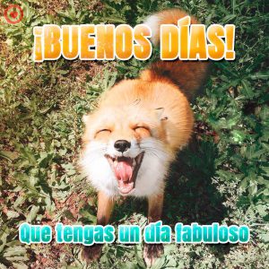 Imagenes Para Dar Los Buenos Dias A Un Amigo Para Whatsapp