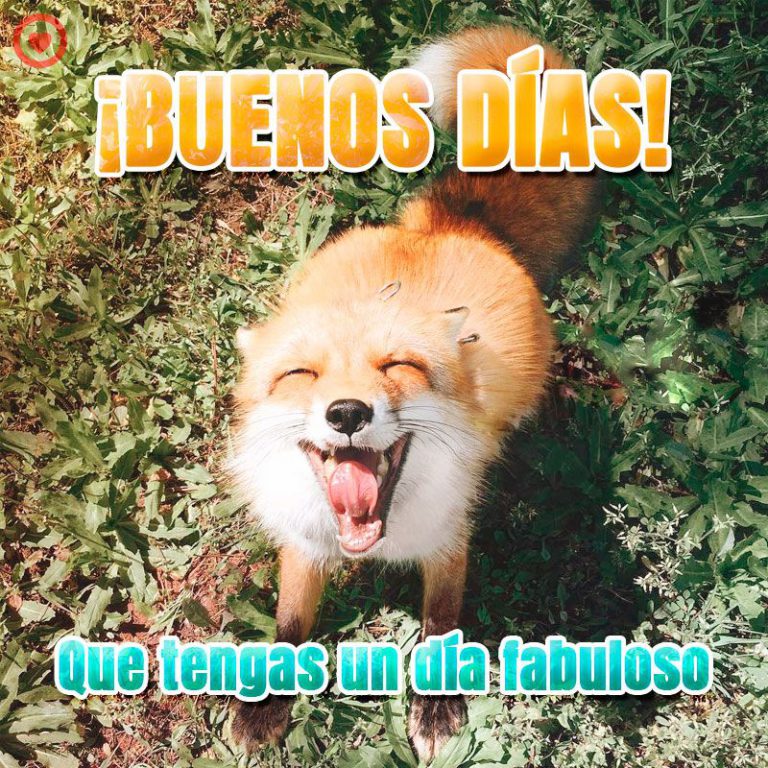 Imagenes Para Dar Los Buenos Dias A Un Amigo Para Whatsapp