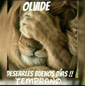 Imágenes para dar los buenos días con amor para WhatsApp