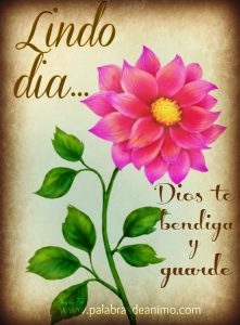 Imagenes Para Dar Los Buenos Dias De Amor