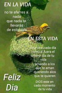 Imagenes Para Dar Los Buenos Dias De Amor Para Celular