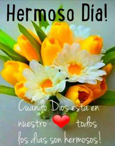 Imagenes Para Dar Los Buenos Dias Para Descargar