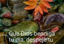 Photo of Imagenes Para Decir Buenos Dias A Tu Amor