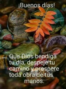 Imagenes Para Decir Buenos Dias A Tu Amor