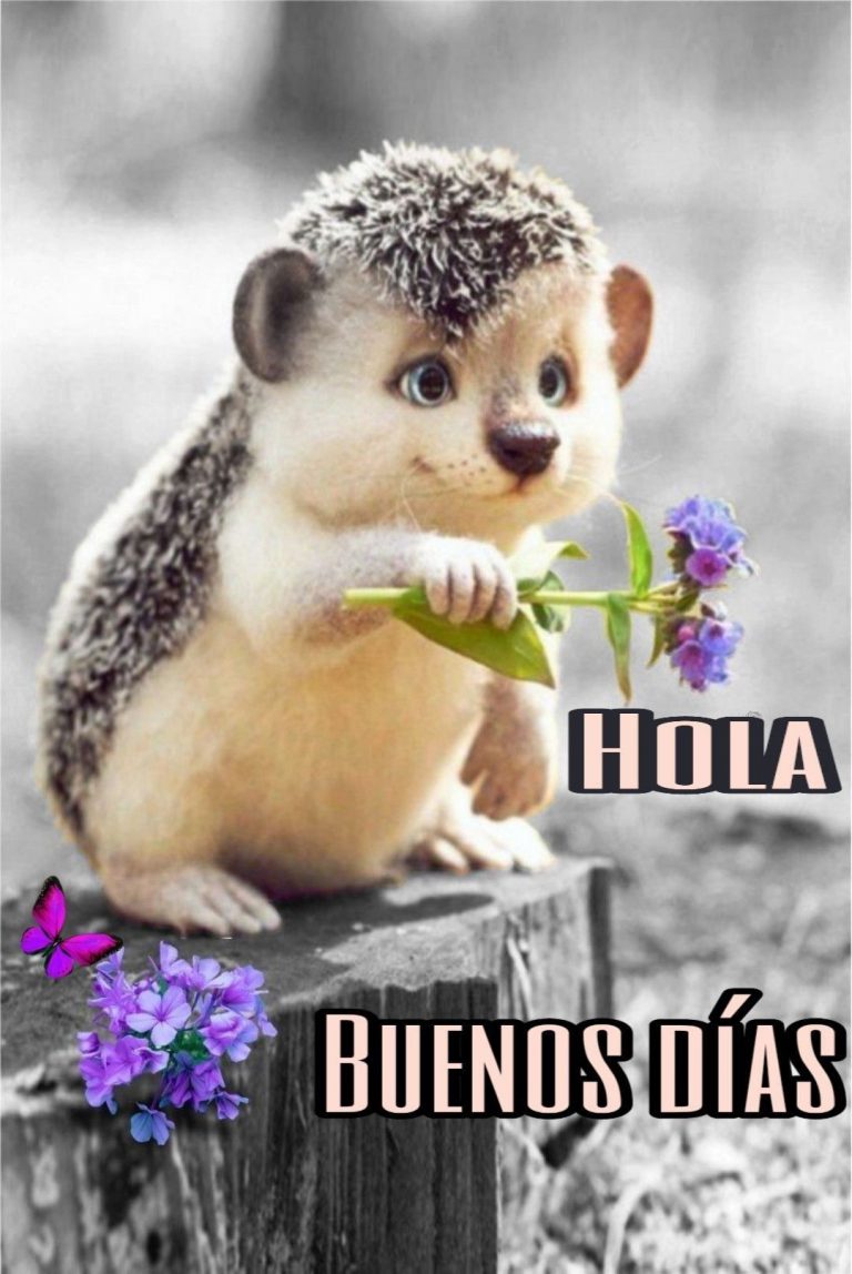 Imagenes Para Decir Buenos Dias Mi Amor Para Descargar