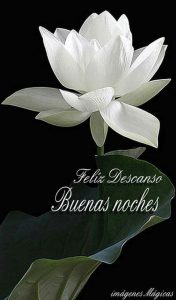 Imagenes Para Descargar De Buenas Noches Para Facebook