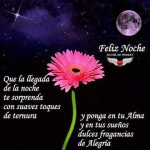 Imagenes Para Desear Buenas Noches A Mi Amor Para Whatsapp