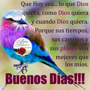 Imagenes Para Desear Buenos Dias A Mi Amor Para Mi Amor