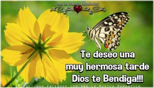 Imagenes Para Desear Feliz Tarde Para Whatsapp Celular