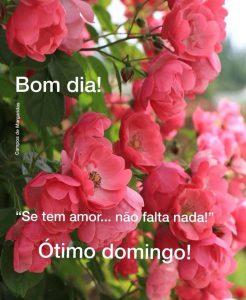 Imagenes Para Desear Un Buen Domingo Para Celular