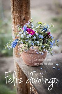 Imagenes Para Desear Un Feliz Domingo Para Celular