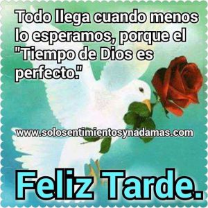 Imagenes Para Desear Una Linda Tarde Para Whatsapp Celular