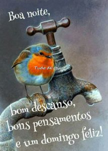 Imagenes Para El Domingo Gratis Para Celular