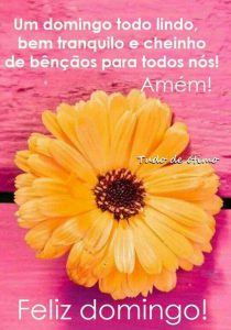 Imagenes Para El Domingo Para Celular