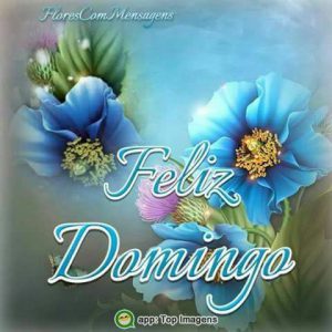 Imagenes Para Feliz Domingo Para Celular