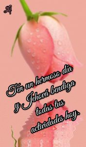 Imagenes Para Mi Amor De Buenos Dias Para Celular