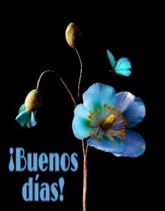 Imagenes Para Mi Amor De Buenos Dias Para Descargar