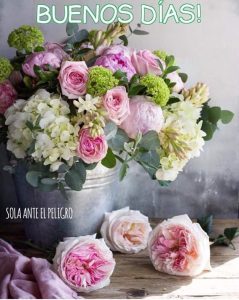 Imagenes Para Mi Amor De Buenos Dias Para Whatsapp