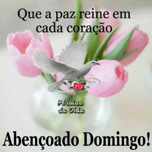 Imagenes Para Saludar Un Domingo Para Celular