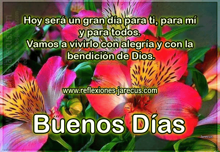 Imagenes Para Un Buen Domingo Para Celular