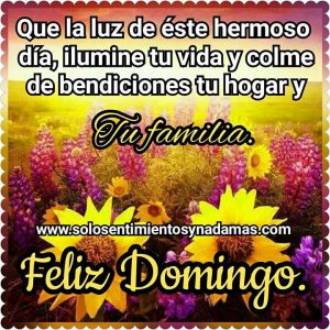 Imagenes Para Un Feliz Domingo Para Celular