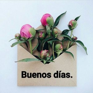 Imagenes Preciosas De Buenos Dias Para Mi Amor