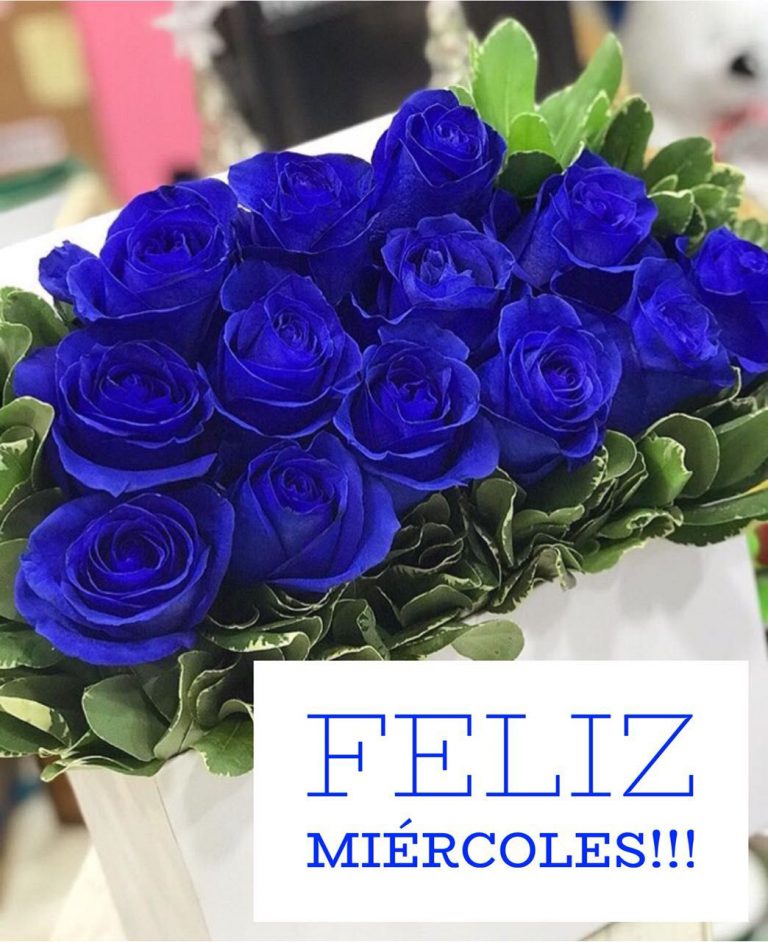 Imagenes Que Digan Buenos Dias Para Una Amiga