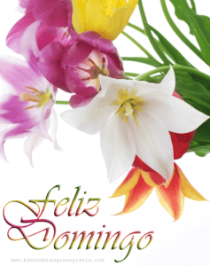Imagenes Que Digan Feliz Domingo Para Celular