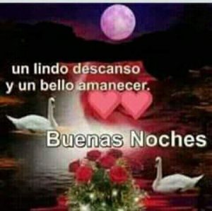 Imagenes Sobre Buenas Noches Para Whatsapp