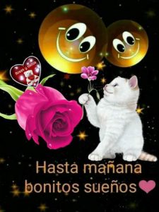 Imagenes Tiernas De Buenas Noches Para Mi Amor Para Facebook