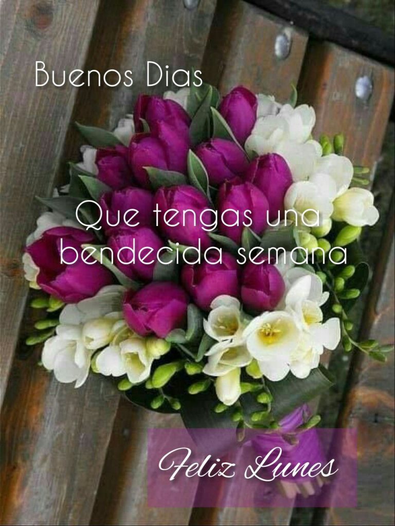 Imagenes Tiernas De Buenos Dias Amor Para Celular