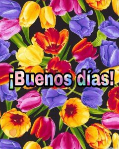 Imagenes Tiernas De Buenos Dias Para Celular