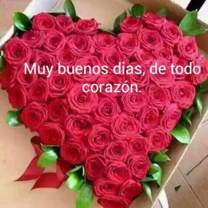 Imagenes Tiernas De Buenos Dias Para Whatsapp