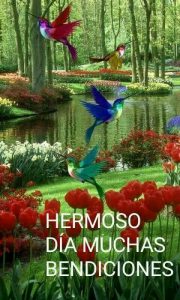 Imagenes Tiernas Para Dar Los Buenos Dias