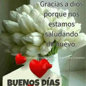 Imágenes tiernas para dar los buenos días para descargar