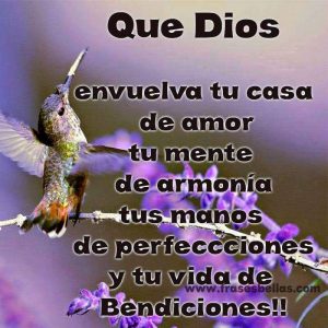 Imagenes Tiernas Para Dar Los Buenos Dias Para Mi Amor