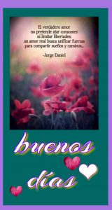 Imagenes Tiernas Para Dar Los Buenos Dias Para Una Amiga